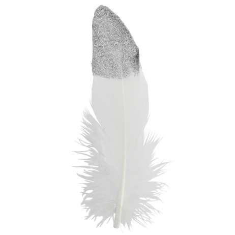 Plume d'oie Marron et blanche avec paillettes - Pack de 10 pièces